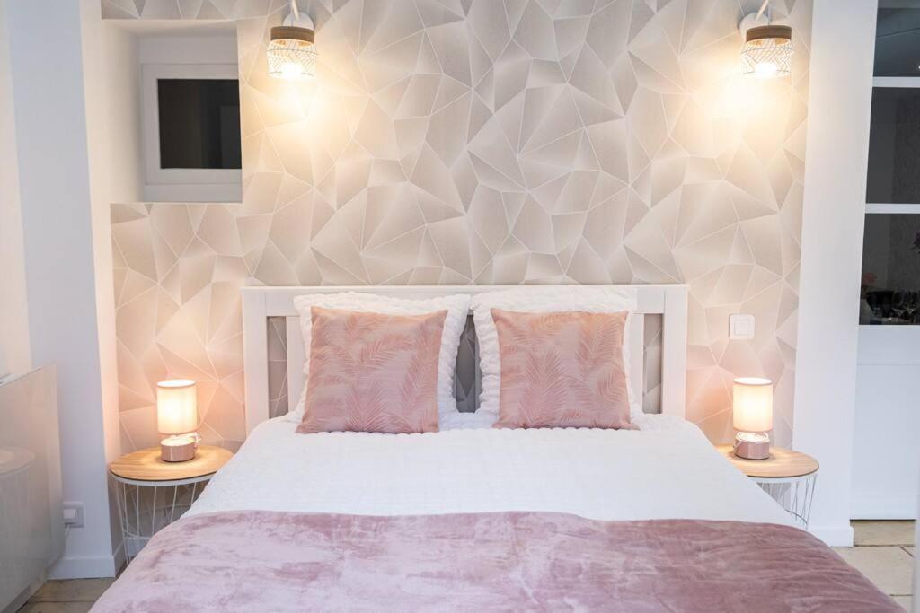 Appartement Renove - Wifi - Jardin - Centre De Niort Eksteriør billede